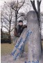 dgk_0016.jpg